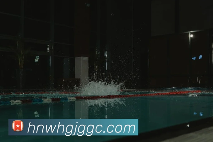 k体育官方下载平台生态图