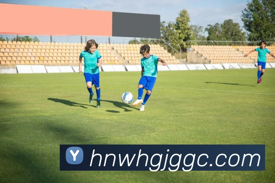 k体育官方下载APP 封面图